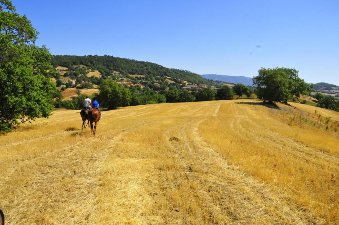 Country House Poggio Aione Konuk evi Catabbio Dış mekan fotoğraf