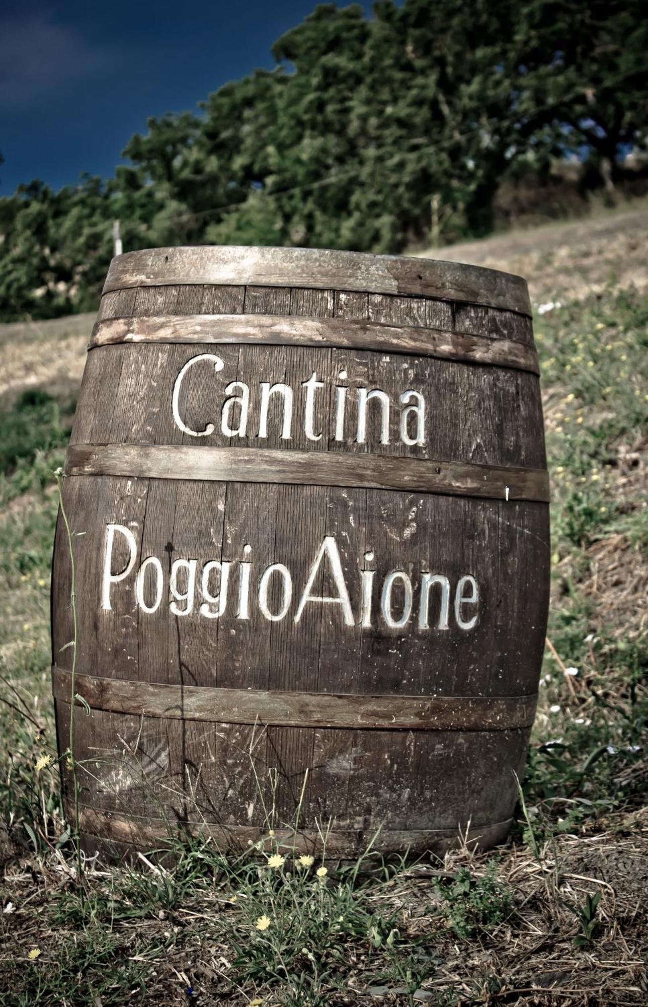 Country House Poggio Aione Konuk evi Catabbio Dış mekan fotoğraf