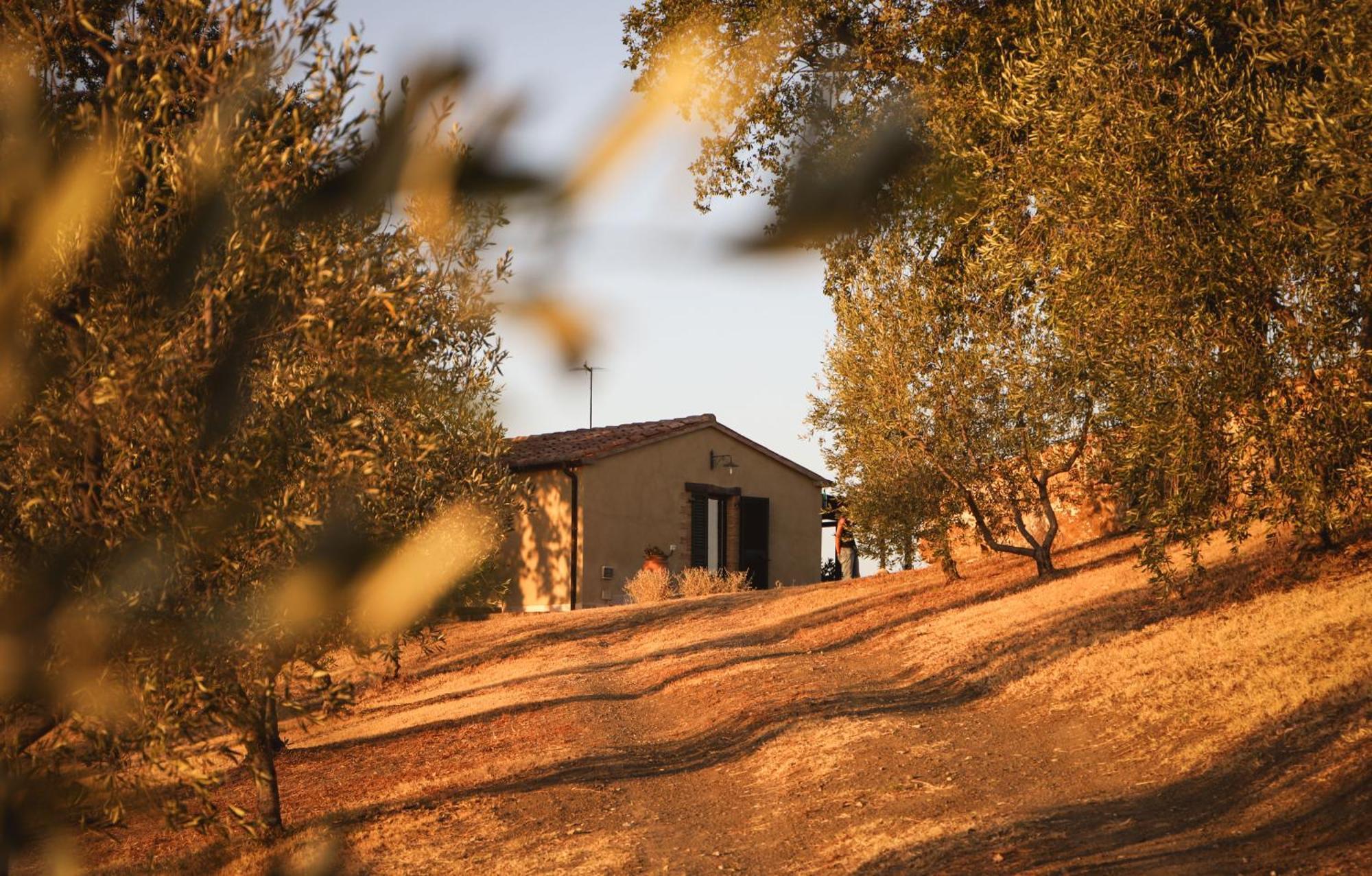 Country House Poggio Aione Konuk evi Catabbio Dış mekan fotoğraf