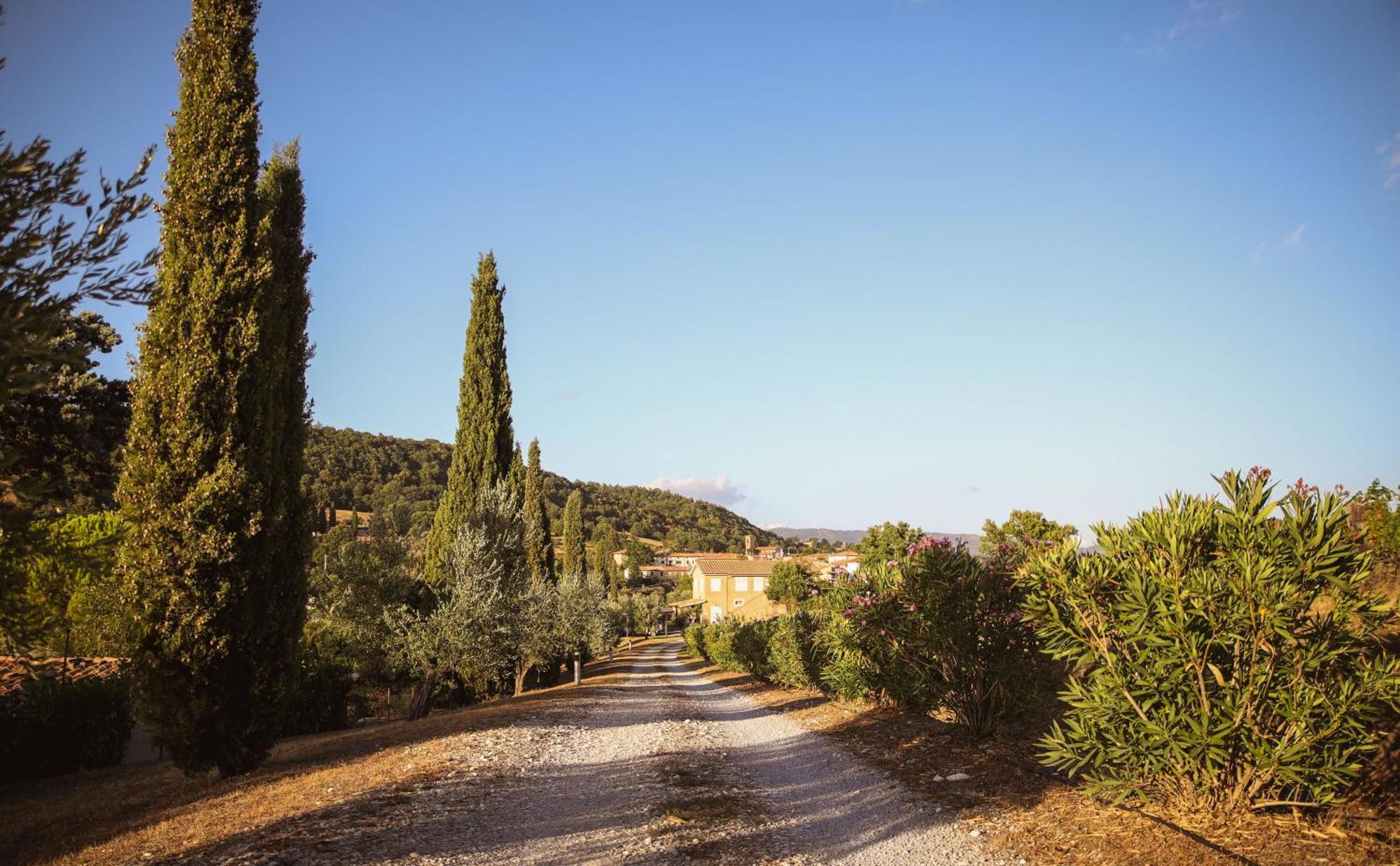 Country House Poggio Aione Konuk evi Catabbio Dış mekan fotoğraf