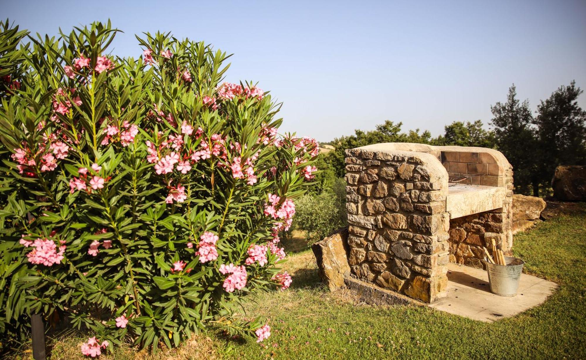 Country House Poggio Aione Konuk evi Catabbio Dış mekan fotoğraf